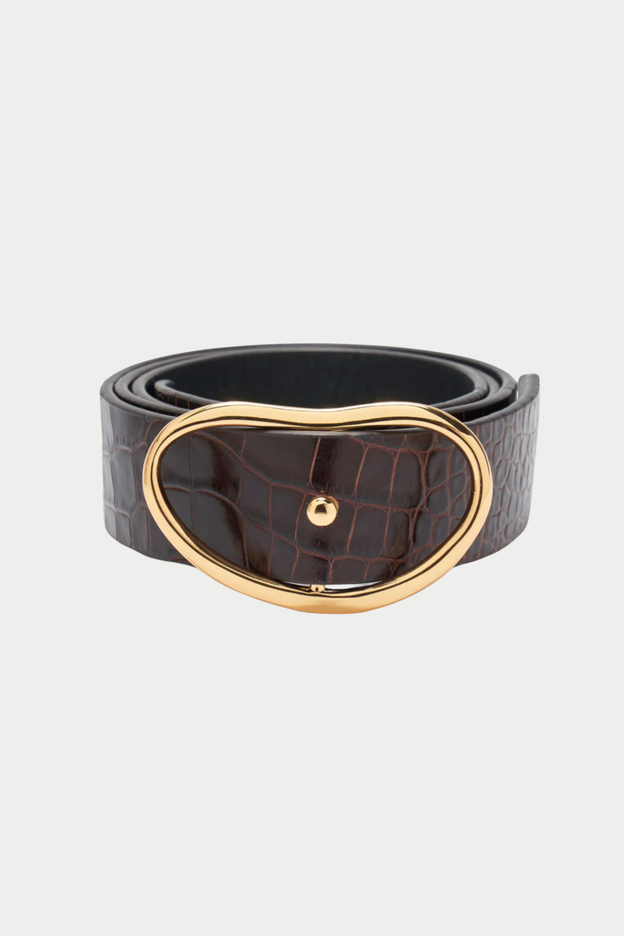 LIZZIE FORTUNATO - Wide Georgia Belt, Brown Croc