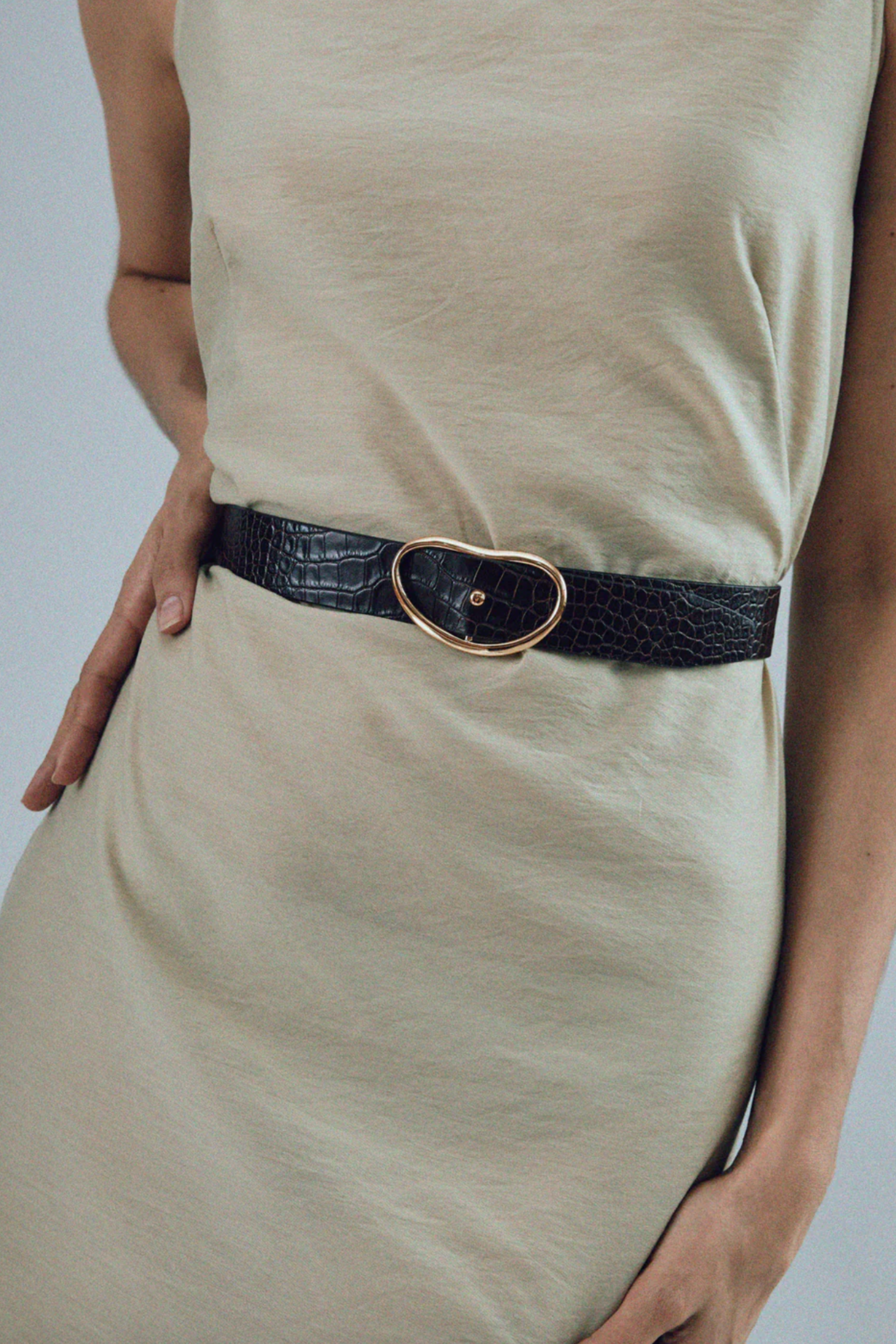 LIZZIE FORTUNATO - Wide Georgia Belt, Brown Croc