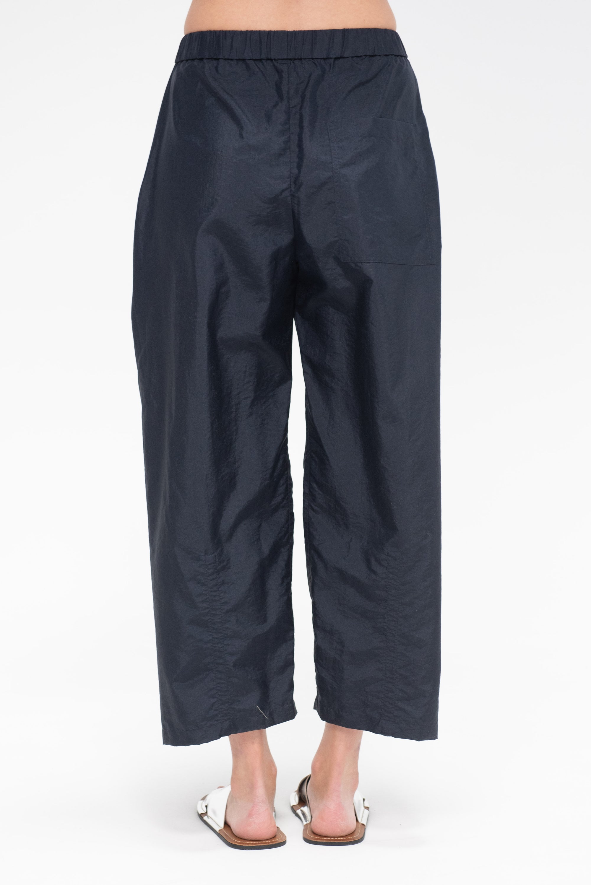 Crispy Nylon Winslow Pant - Short